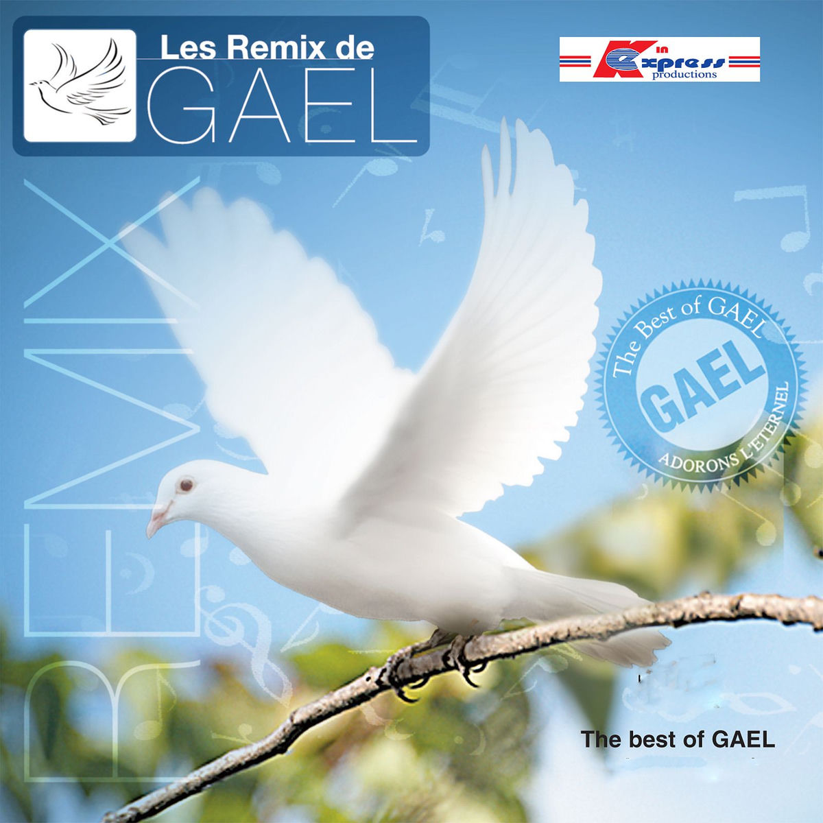 LES REMIX DE GAËL Vol 1